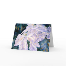 White Poinsettia Greeting Card by andymathis White Poinsettia Greeting Card