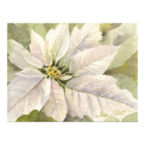White Poinsettia Poster posters