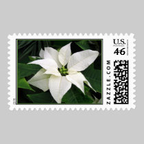 White Poinsettia Stamp stamps