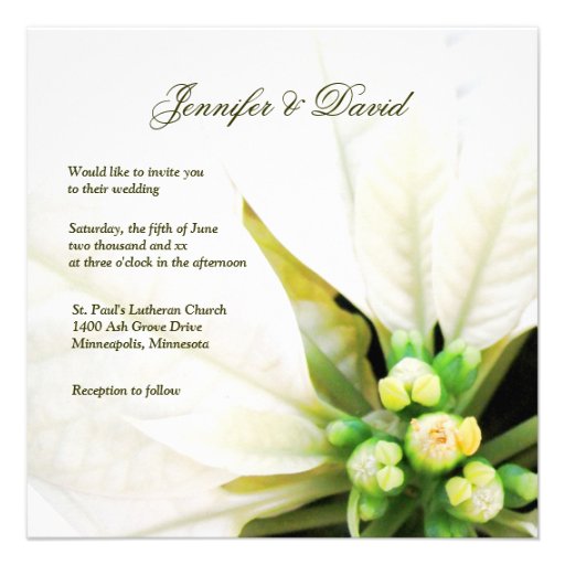White Poinsettia Wedding Invitation
