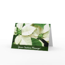 White Poinsettias 1 cards