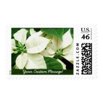 White Poinsettias 1 stamps