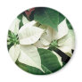 White Poinsettias