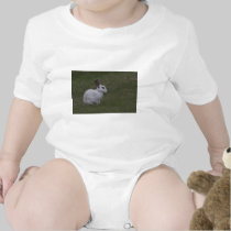 White Point Bunny t-shirts