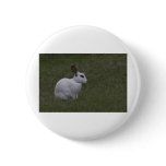 White Point Bunny Buttons