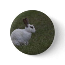 White Point Bunny Pinback Button