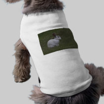 White Point Bunny pet clothing
