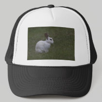 White Point Bunny hats