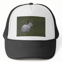 White Point Bunny Hats