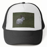 White Point Bunny Hats