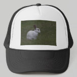 White Point Bunny hats