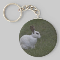 White Point Bunny keychains