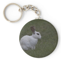 White Point Bunny Keychains