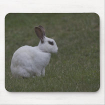 White Point Bunny mousepads