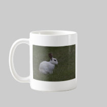 White Point Bunny mugs
