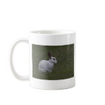 White Point Bunny Coffee Mugs