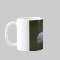 White Point Bunny mugs