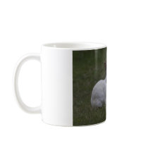 White Point Bunny Coffee Mugs