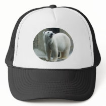White Polar Bear Baseball Hat