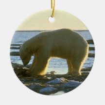 White Polar Bear Christmas Ornament