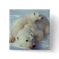 White Polar Bear family Pinback Buttons