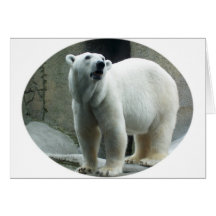 White Polar Bear Greeting Card