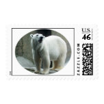 White Polar Bear Postage Stamp