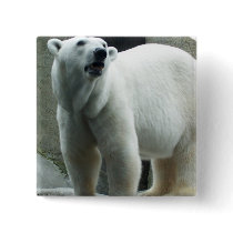White Polar Bear Square Button