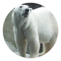 White Polar Bear Sticker