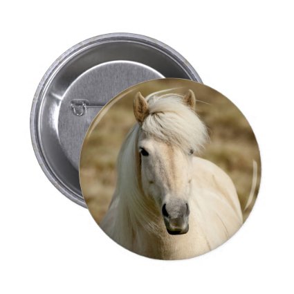 White Pony Pinback Button