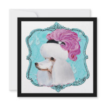 White Poodle in Feather Hat Square Card Invitation