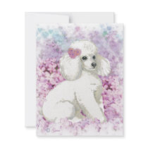 White Poodle in the Lilacs Art and Gifts Custom Announcements