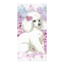 White Poodle in the Lilacs Art and Gifts Photo Card