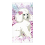 White Poodle in the Lilacs Art and Gifts Photo Card