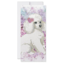 White Poodle in the Lilacs Art and Gifts Custom Rack Card