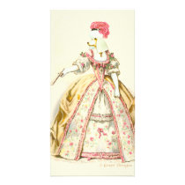 White Poodle Marie Antoinette French Fashion photo cards