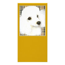 White Poodle Portrait Burberry Art Photo Card