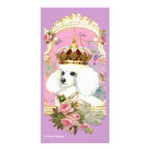 White Poodle Princess n Pink Roses photo cards