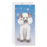 White Poodle Snowflakes Christmas Cards Invitation Photo Cards