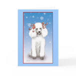 White Poodle Snowflakes Christmas Holiday Cards