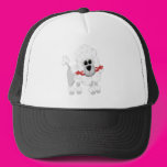 White Poodle With Red Trucker Hat