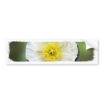 White Poppy Blur; No Text Bumper Sticker