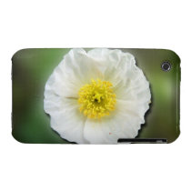 White Poppy Blur; No Text Iphone 3 Case-mate Cases
