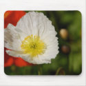 White Poppy Mousepad by pulsDesign White Poppy Mousepad