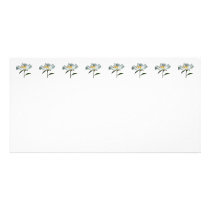 White Poppy Profile photo cards