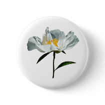 White Poppy Profile buttons