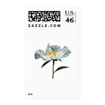 White Poppy Profile stamps