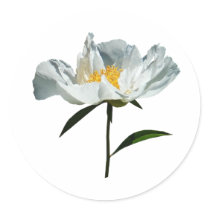 White Poppy Profile stickers