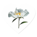 White Poppy Profile Sticker White Poppy Profile Sticker