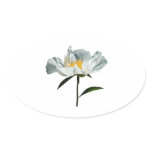 White Poppy Profile Sticker White Poppy Profile Sticker